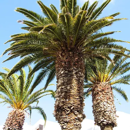 Lägenhet Little Gem Apartment, Molinos Costa Teguise