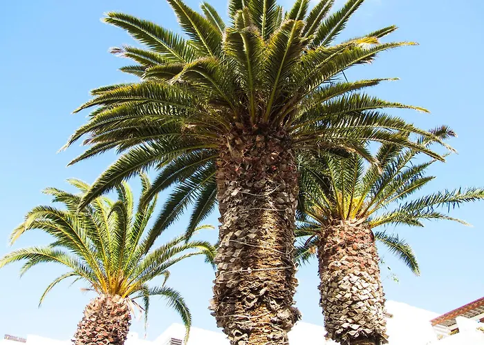 Lejlighed Little Gem Apartment, Molinos Costa Teguise